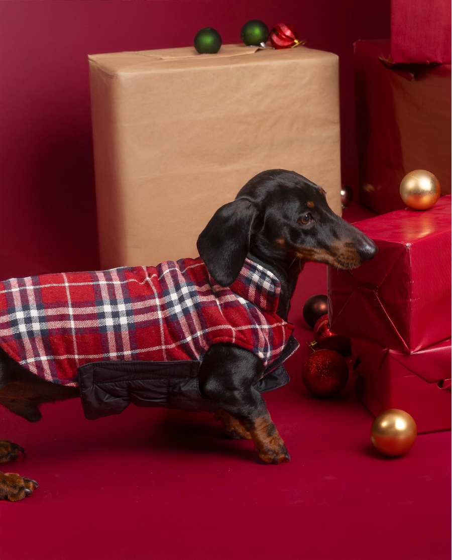 ADMAS Chaqueta Reversible Tartan Rojo para Perro Mediano ROJO